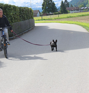 Lexx vom Büffelboden